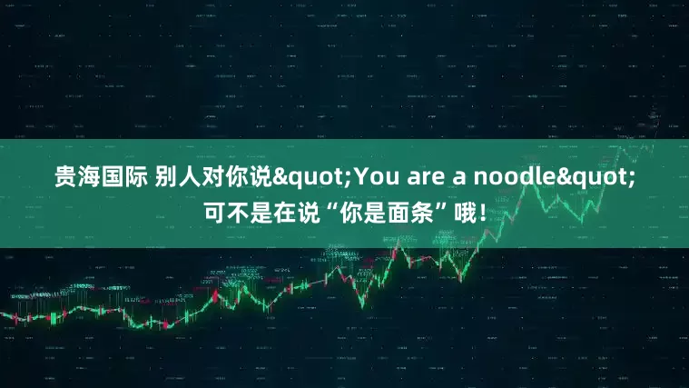 贵海国际 别人对你说"You are a noodle"可不是在说“你是面条”哦！